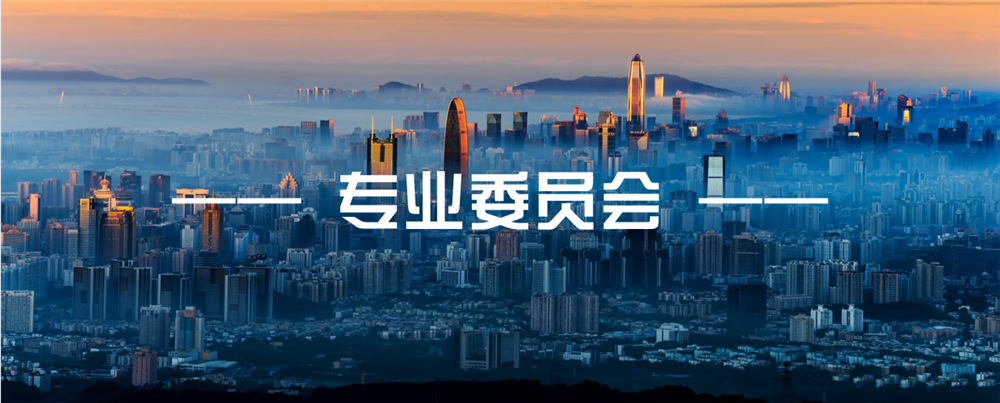 專(zhuān)業(yè)委員會(huì)